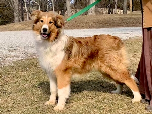 Belle Belle