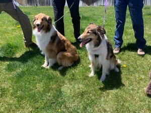 Belle joins her half sister in Colorado