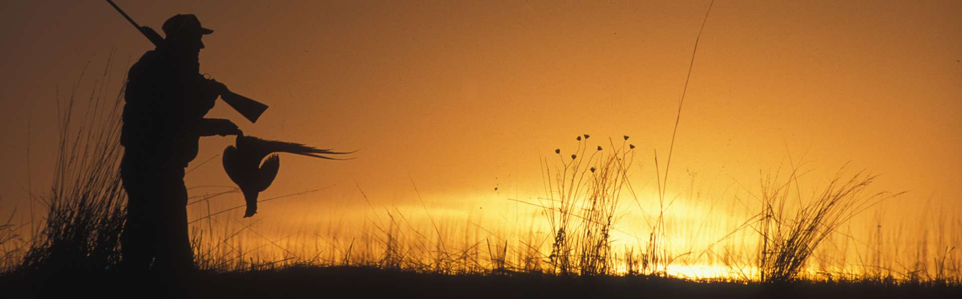 Contact St Louis/Carlton County Pheasants Forever