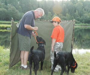 Dog_Training_DRC_2013.294124355_std.jpg