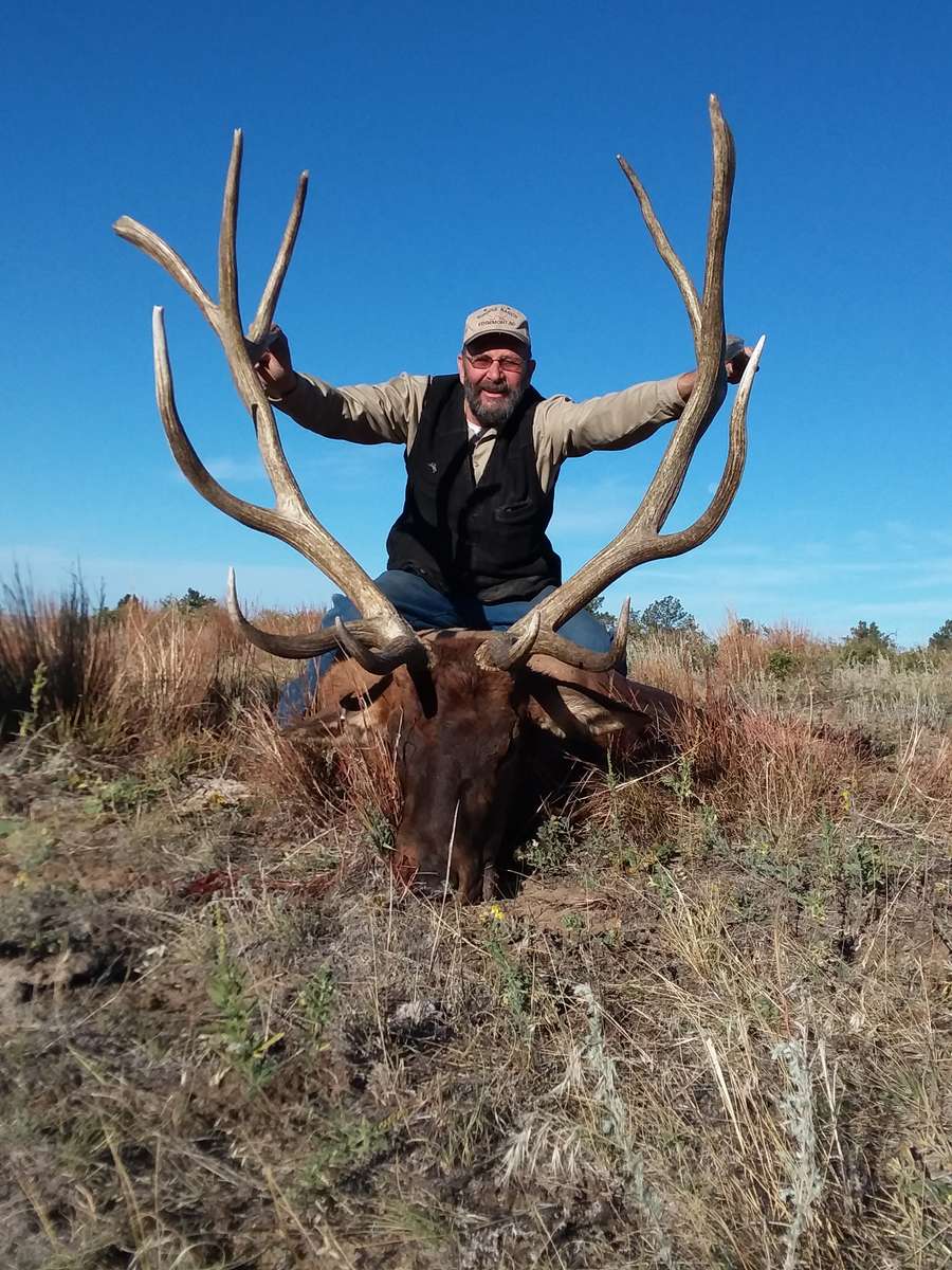 Trophy Bull Elk in SD