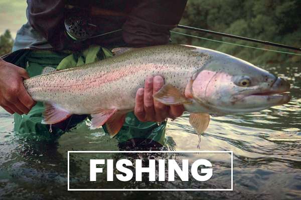 Fish with Bushwhack Alaska