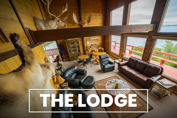 Stay at Bushwhack Alaskas Lodge