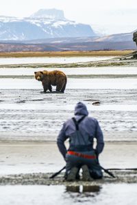 Bear-Clamming.jpeg