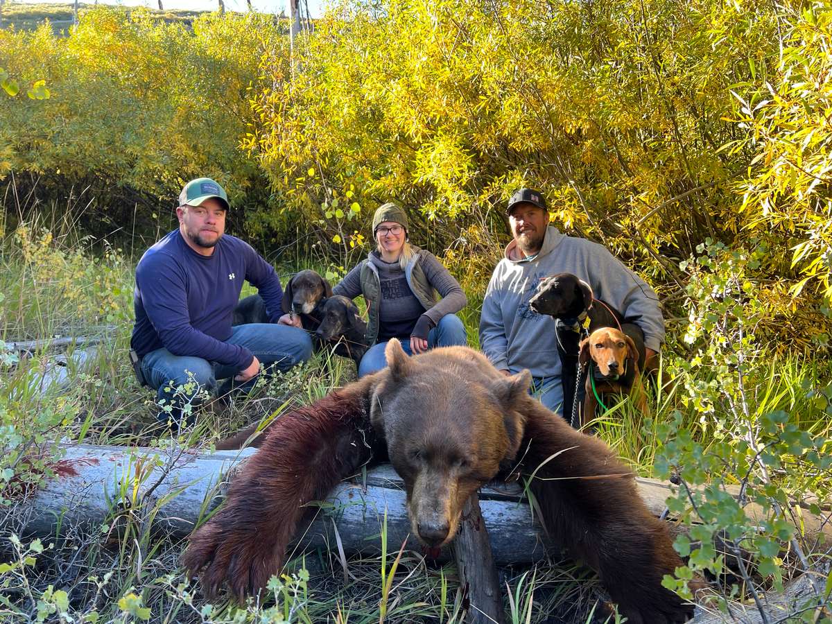 Nevada Black Bear Hunt