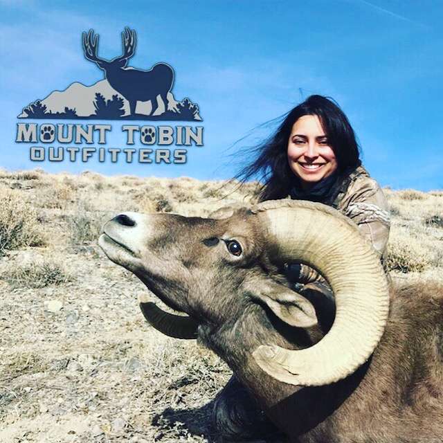 Nevada Bighorn Sheep Hunt