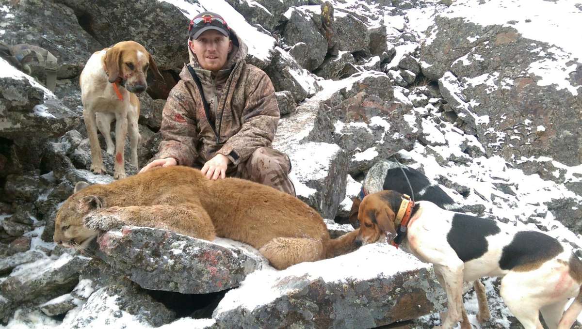 Nevada Mountain Lion Hunt