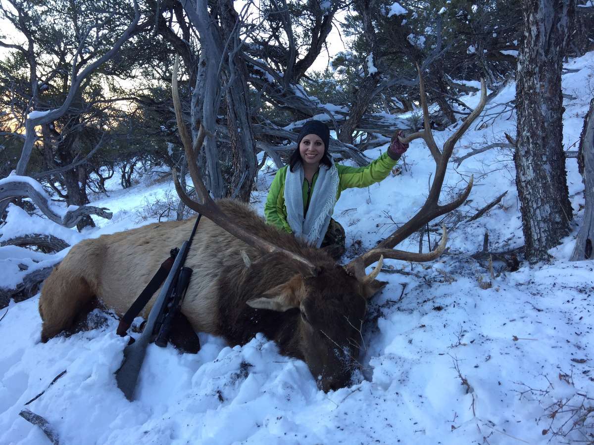 Northern Nevada Guided Hunts