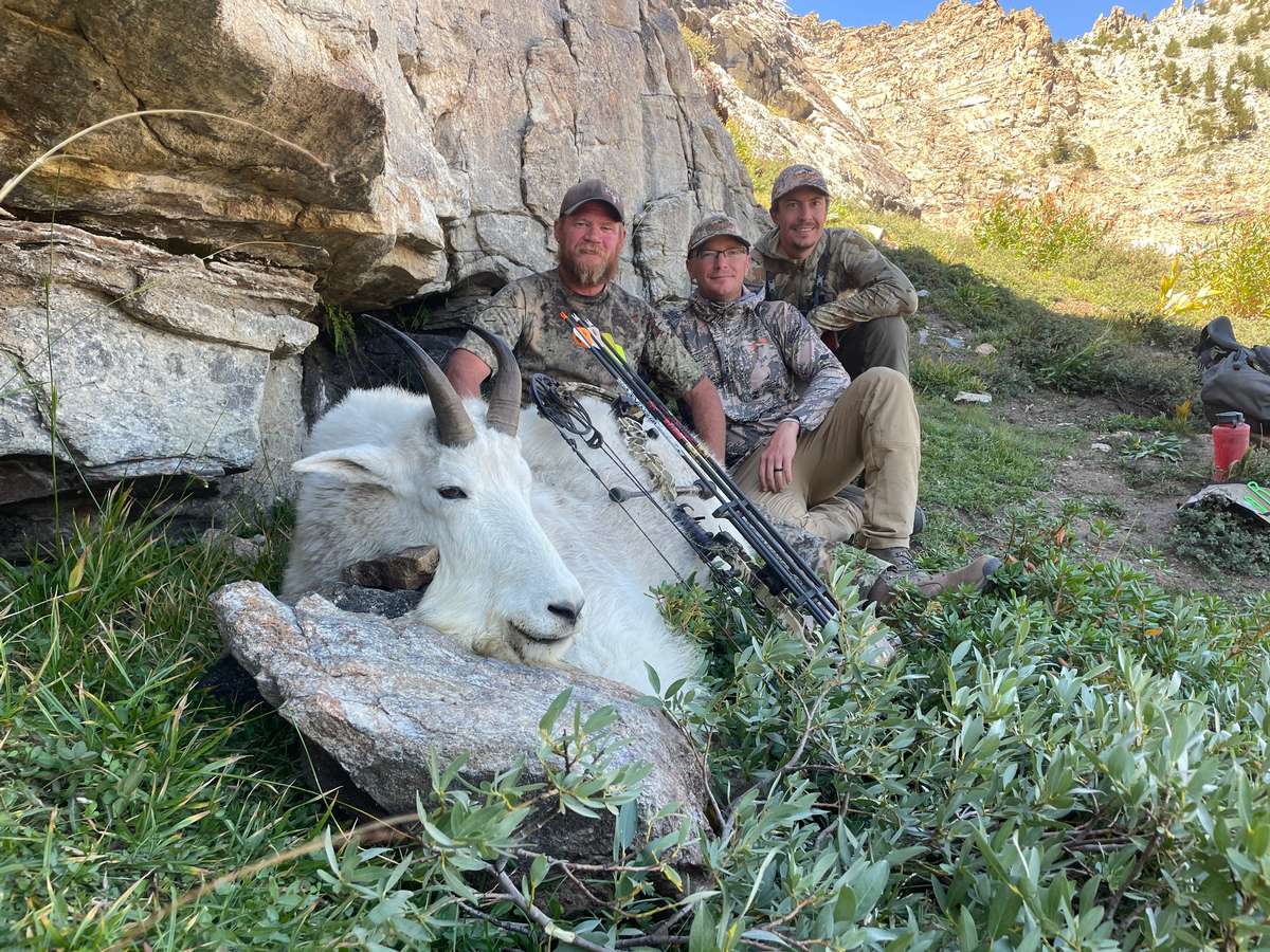 Nevada Mountain Goat Hunt