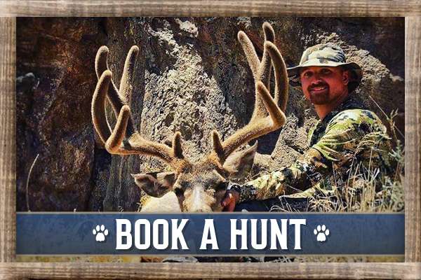 Book A Hunt