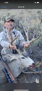 Mule Deer