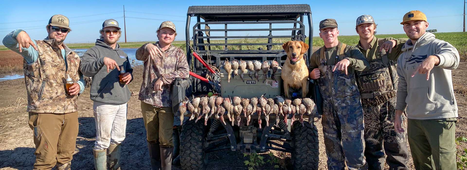 Dove & Teal Hunts in Texas