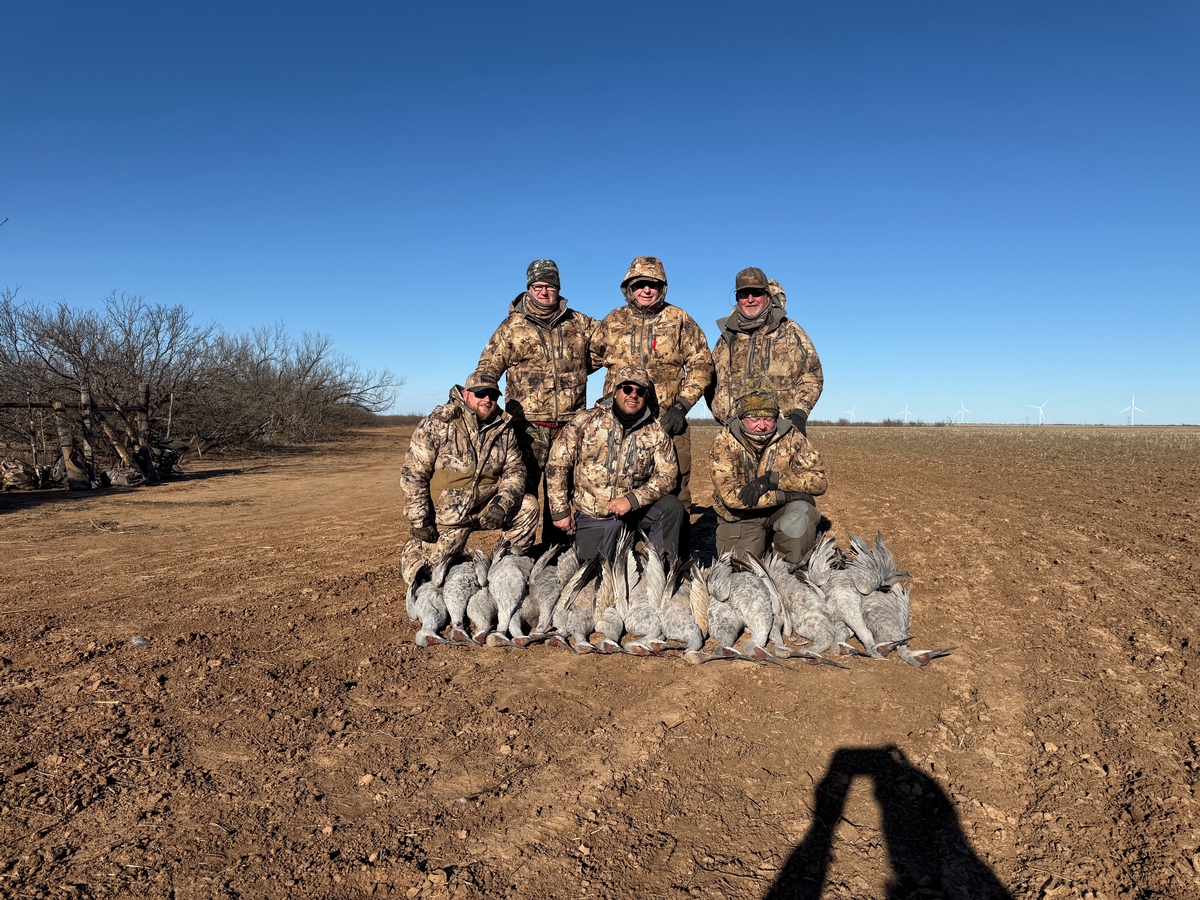 Crane Hunts Crane Hunts