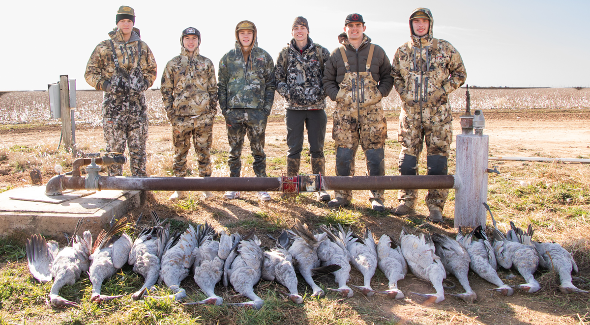 Guided Sandhill Crane Hunts