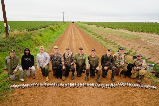 Dove & Teal Hunting Dove & Teal Hunting