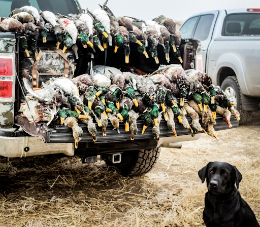 Duck Hunting Duck Hunting