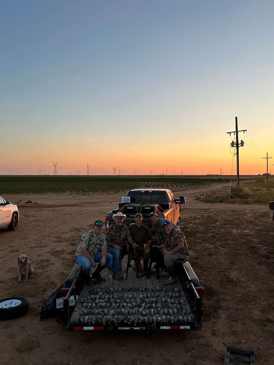 Hunting Dove & Teal in Texas