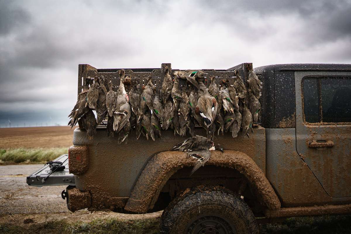 Guided Corporate Hunts Guided Corporate Hunts