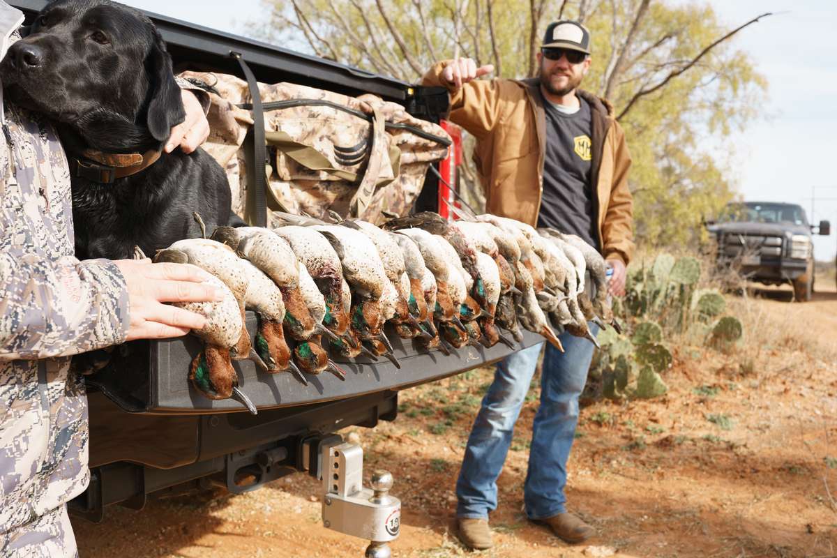 Guided Duck Hunting in Texas