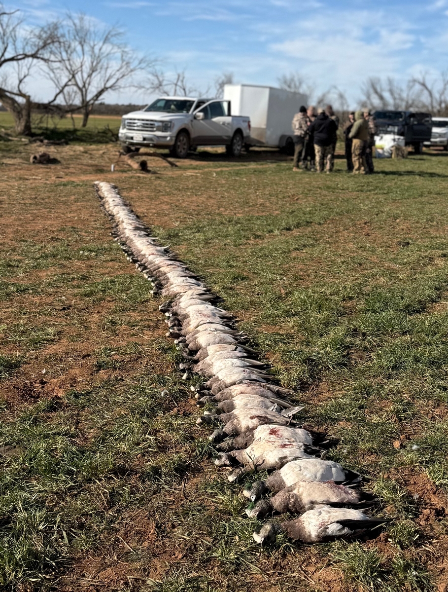 Texas Waterfowl Hunting Packages Texas Waterfowl Hunting Packages