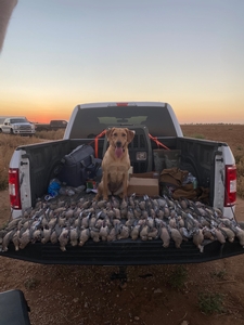 Dove%20Hunt%20Photos%2021.jpg