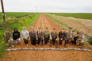 Dove-Hunts.jpg