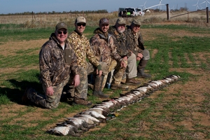 Quanah%20Ducks%201.jpg