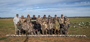 Wigeon%209001.png