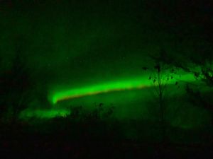 IMG_5014.JPG
