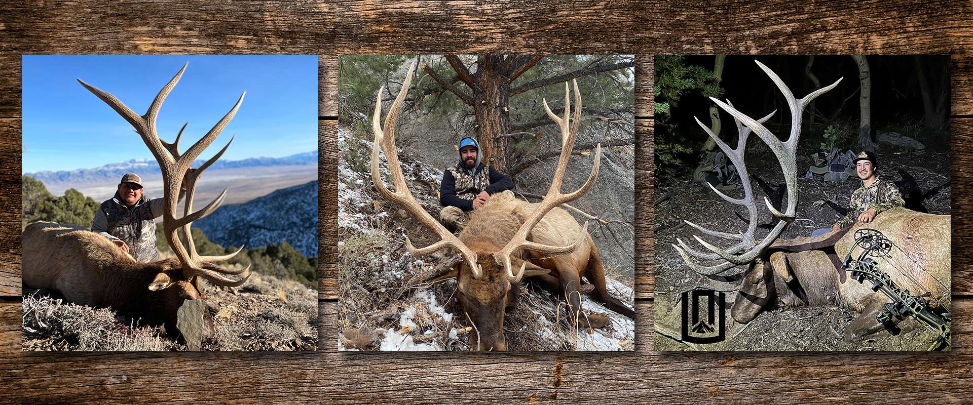 Elk Hunts