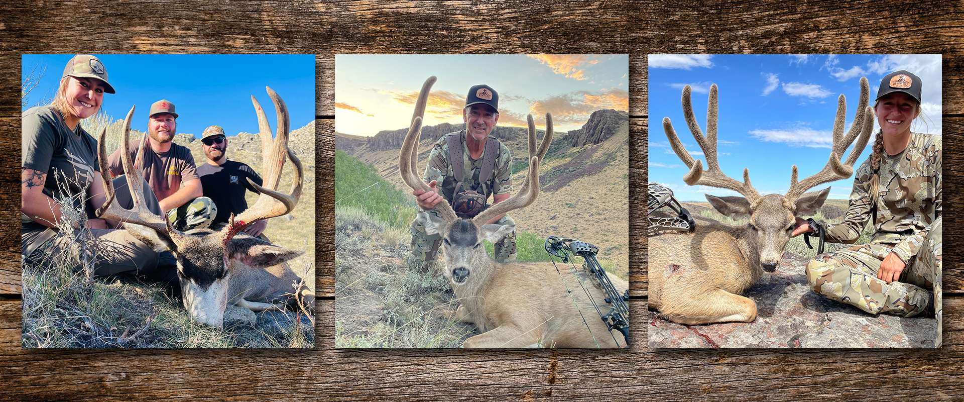 Mule Deer Hunts