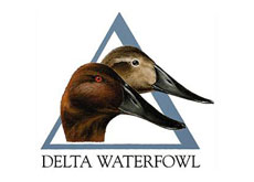 Delta Waterfowl