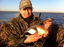 Euro Widgeon