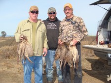 Greg, Ron and Bill