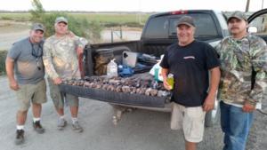 RVO Dove Hunt