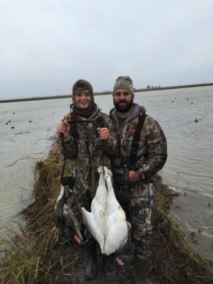 First Mallard