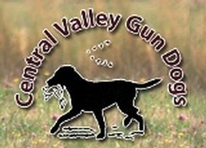 centralvalleylogo160.jpg