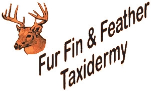 furfinfeatherlogo.jpg