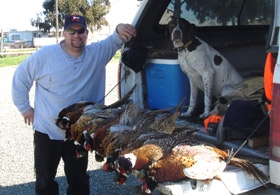 northern-california-pheasant-hunting.jpg