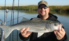 northern-california-stripers.jpg