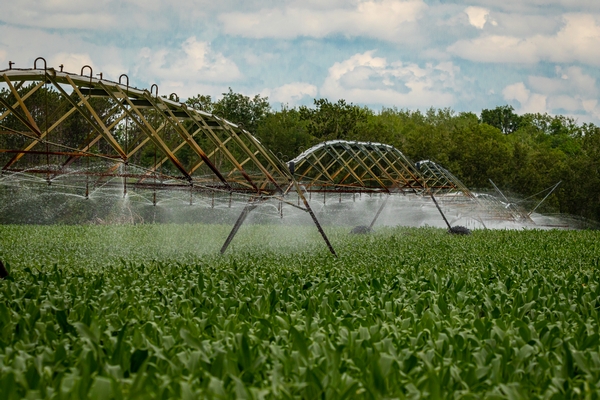 Did You Know...  East Otter Tail and Wadena SWCDs Provide an Irrigation Scheduling Service?