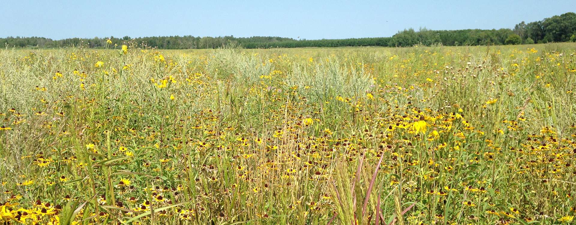 About Wadena Soil & Water Conservation District