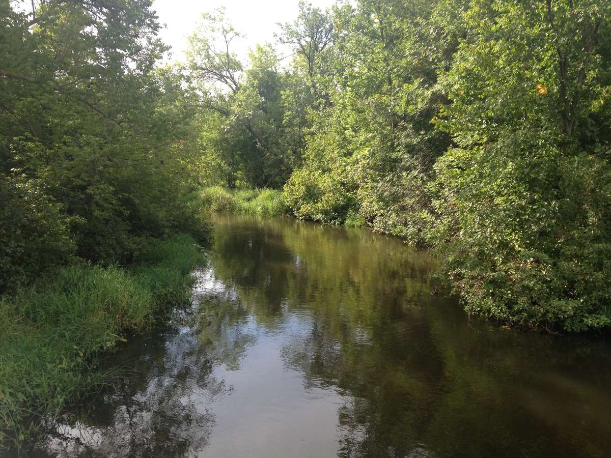 Image of a river with forested banks.