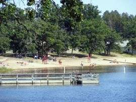 Image of a beach and dock at a lake.