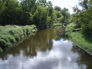 Leaf River