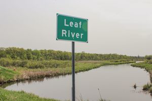 Leaf River