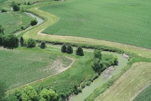 Buffer Strips