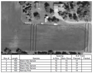 Sample Tree Plan