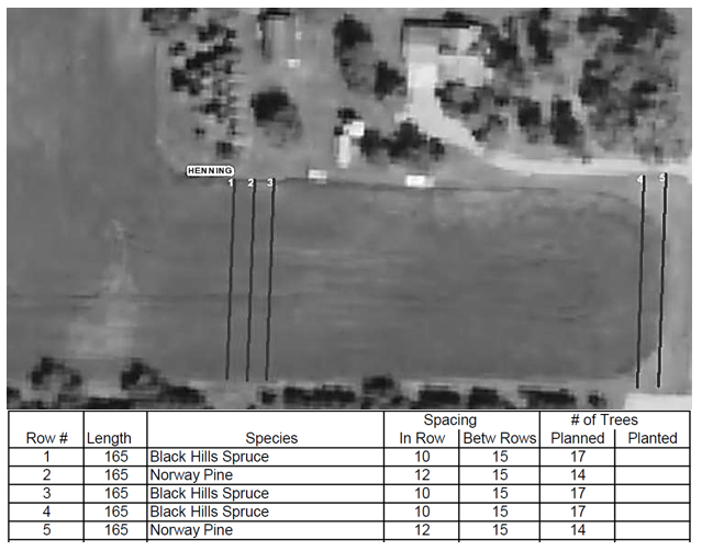 Image of a sample tree planting plan.