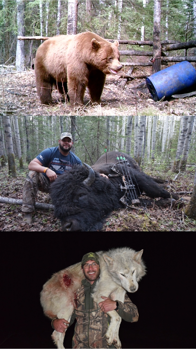 6 Day Alberta Spring Baited Trophy Black Bear